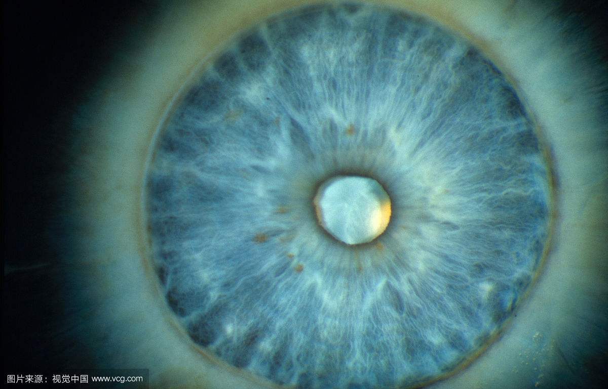 未做尸检仍能鉴定为主要责任