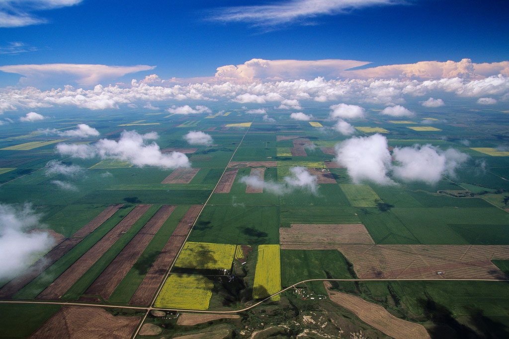 征地拆迁市县级人民政府应当按照征收补偿方案作出补偿
