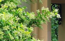 亲办案例 || 第一次起诉一定离不掉?50天助当事人摆脱失衡婚姻!