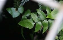 行政诉讼想赢？得靠“法”！