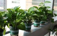 国家赔偿案件中赔偿与补偿的关系及损失计算规则